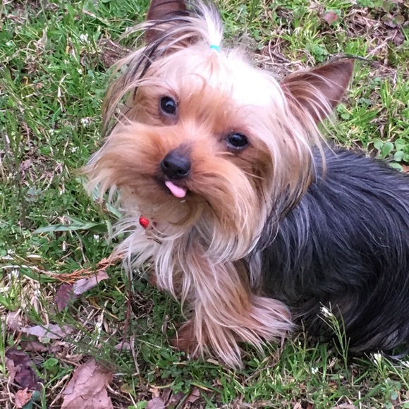 Meet your Posher, Vickie Jean - Picture 2 of 8